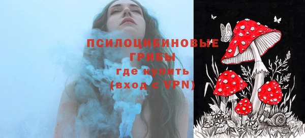 PSILOCYBIN Шали
