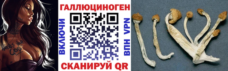 Псилоцибиновые грибы мицелий  Самара 