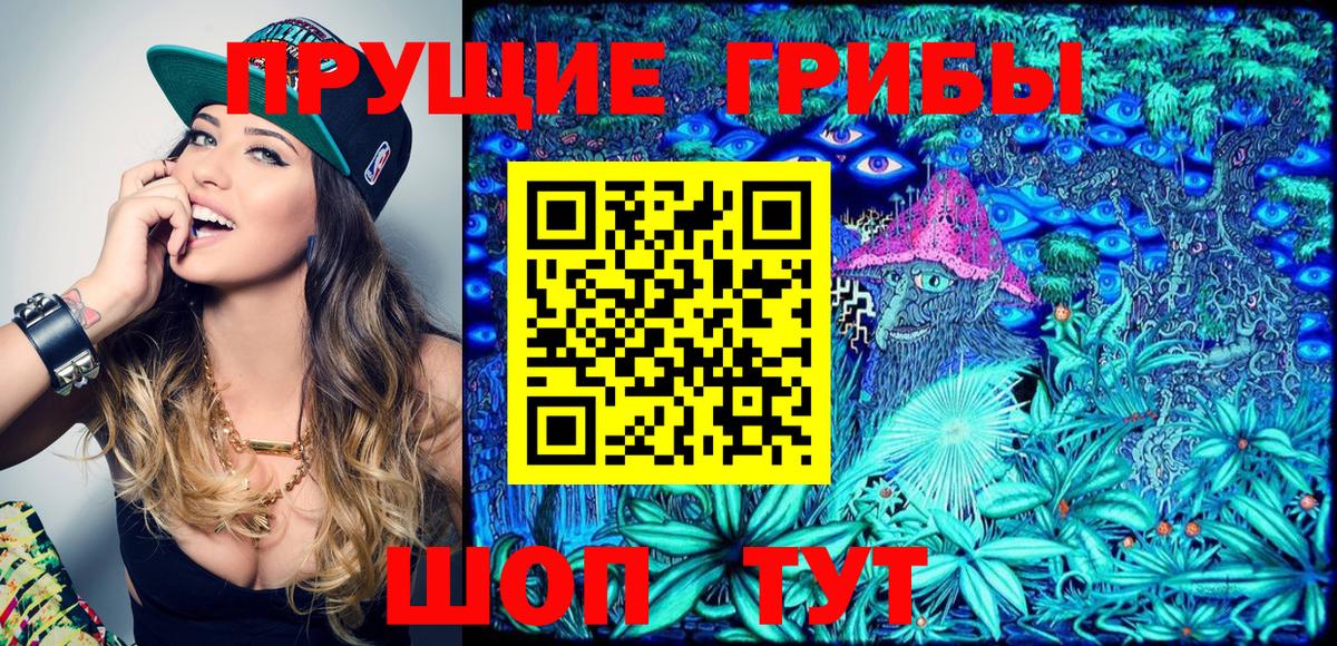 Галлюциногенные грибы Psilocybine cubensis  Псилоцибиновые грибы мицелий  Вход с VPN  Самара 