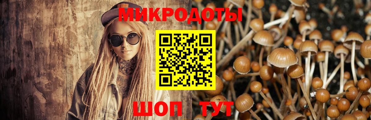 Галлюциногенные грибы Psilocybine cubensis  Вход с VPN  Самара 
